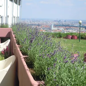 Auberge de jeunesse Palace